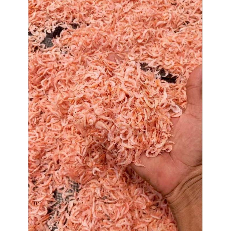 

udang rebon super murah 1 kg