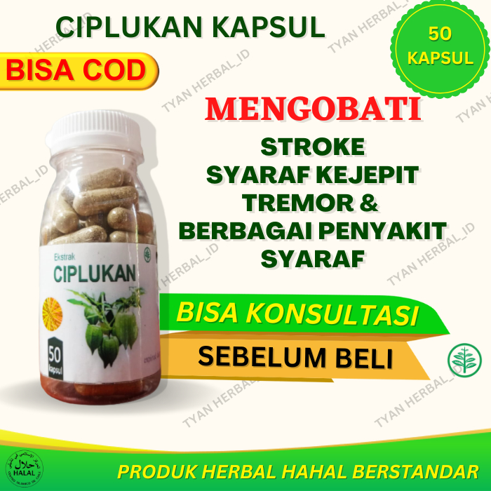 Obat stroke herbal ciplukan terapi syaraf otak isi 50 kapsul