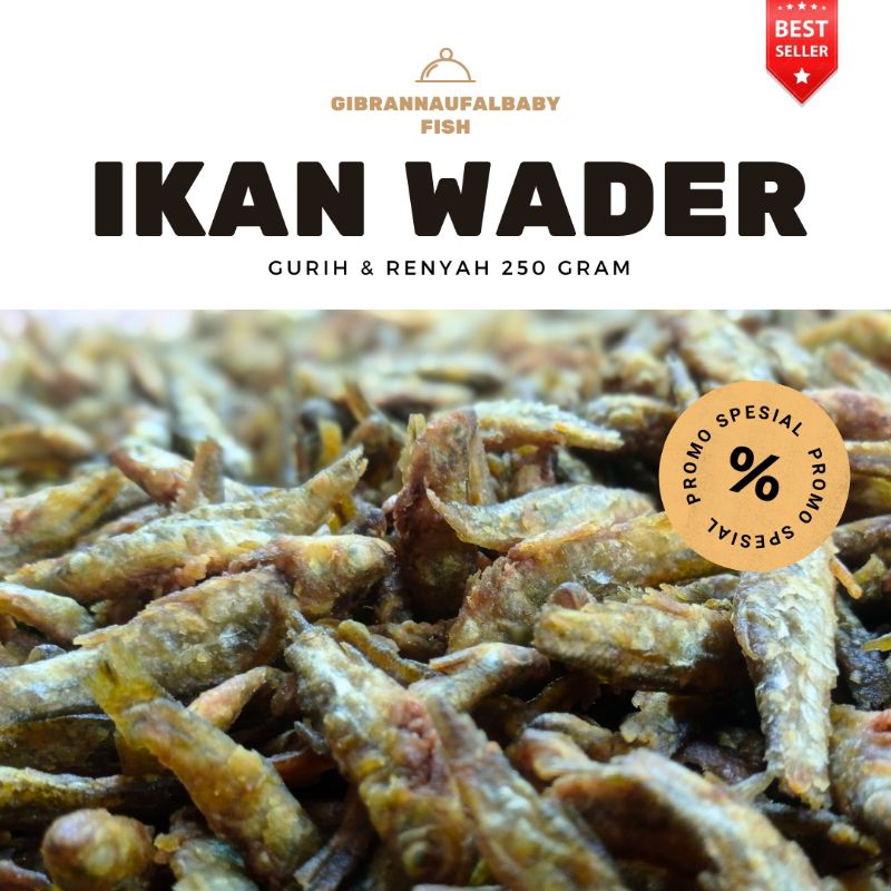 

Ikan Wader Crispy | Ikan Paray | Gurih & Renyah