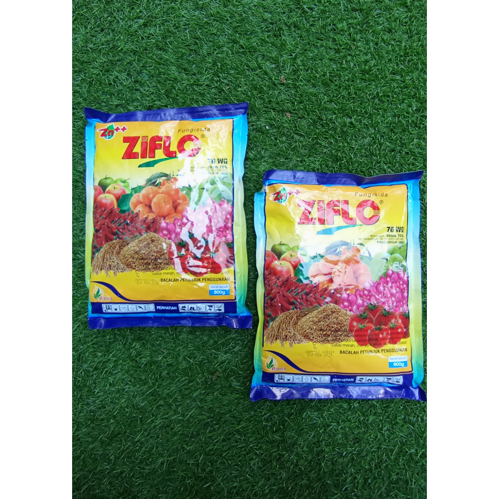 Fungisida ZIFLO 76WG 800gr