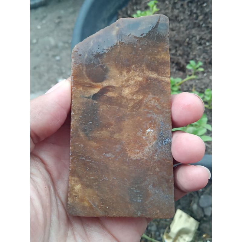 ✅ Batu Akik Fosil Kayu - asal Bengkulu ( Bahan Batu Akik Fosil Natural - bukan bacan obi fire opal k