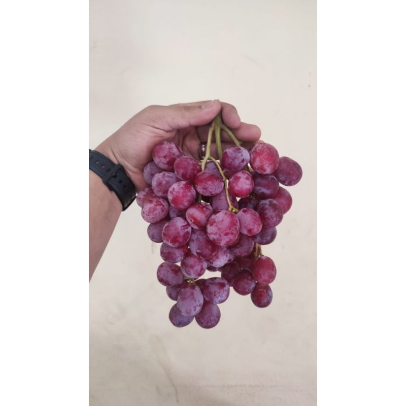 

JuraganBuah Anggur RedGlobe Manis (500gr)