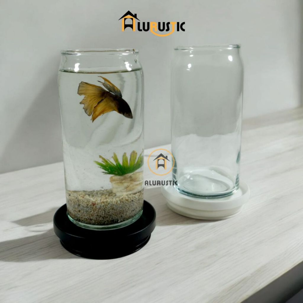 1 SET AQUARIUM KACA TABUNG / AKUARIUM IKAN HIAS / AKUARIUM MINI IKAN  GUPPY CUPANG / AQUASCAPE / AQU