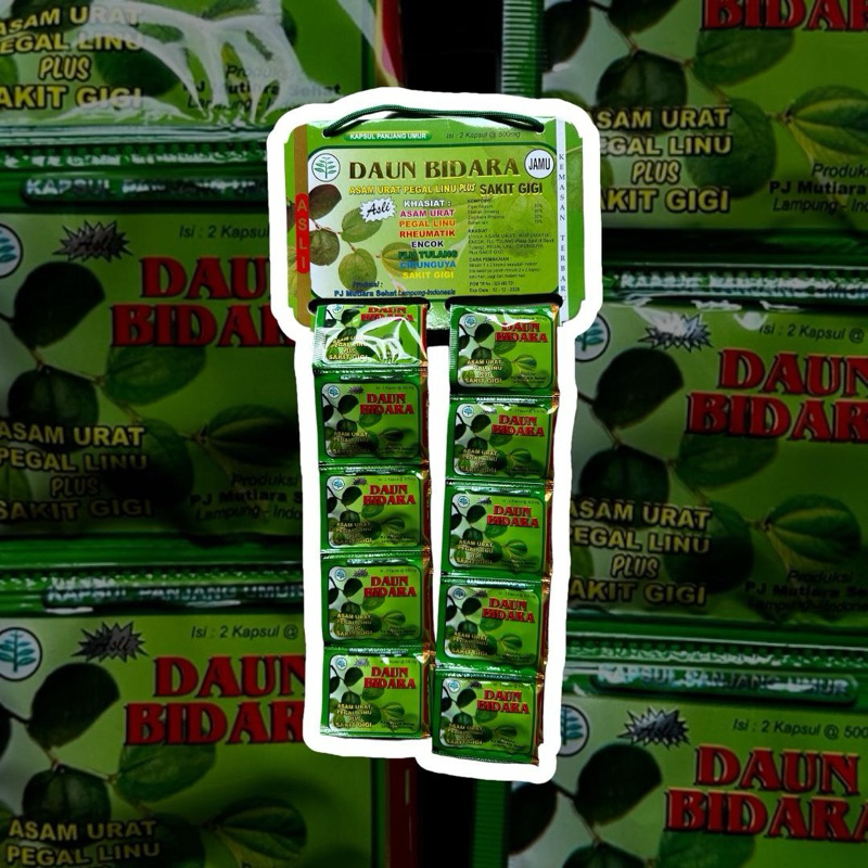 Daun Bidara Kapsul
