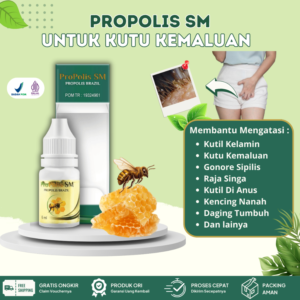 Obat Penghilang Kutu Kemaluan / Kelamin, Kutu di Rambut Kemaluan Pria Dan Wanita, Kulit Kelamin Gata