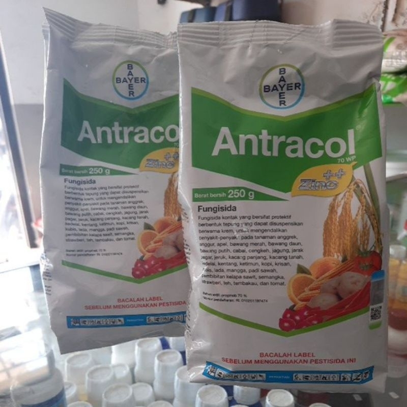Antracol fungisida 250 gr