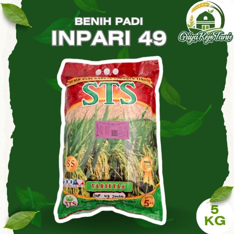 Benih Padi INPARI 49 JEMBAR - STS