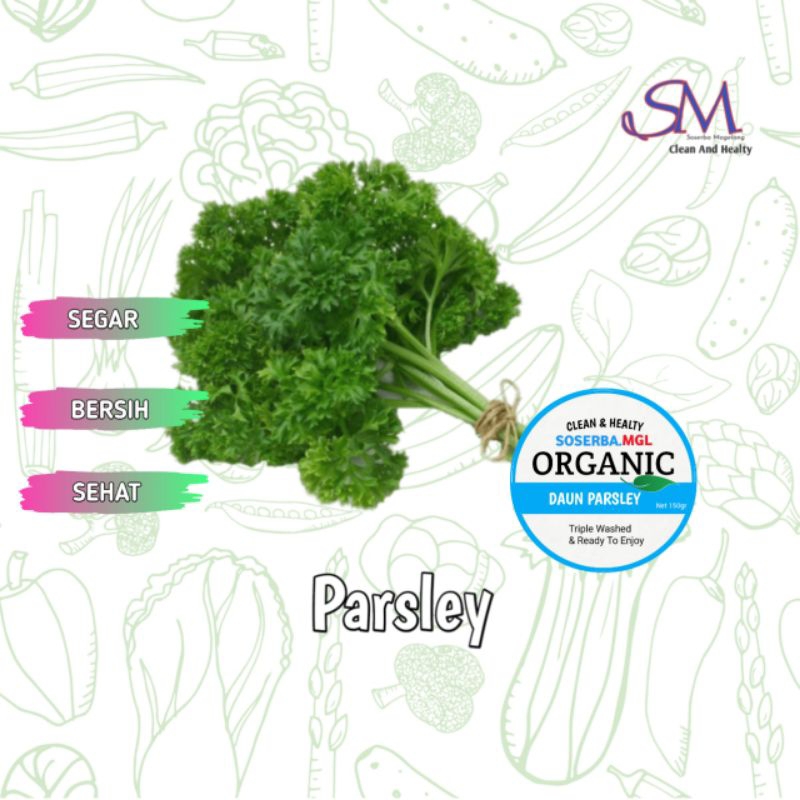 

Daun Parsley segar