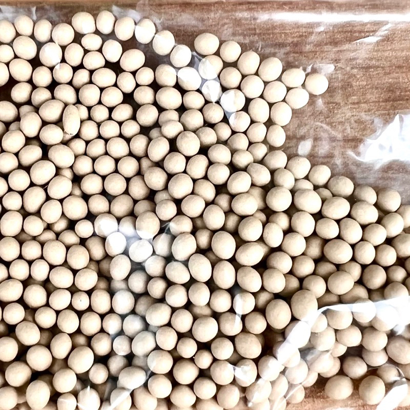 [ 2500 pill ] Bibit Benih Selada Greenpira  Delta /rz junction/ bibit rz/bibit caipira/bibit maritim