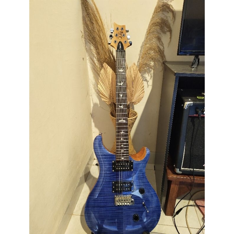 PRS SE, Custom 24