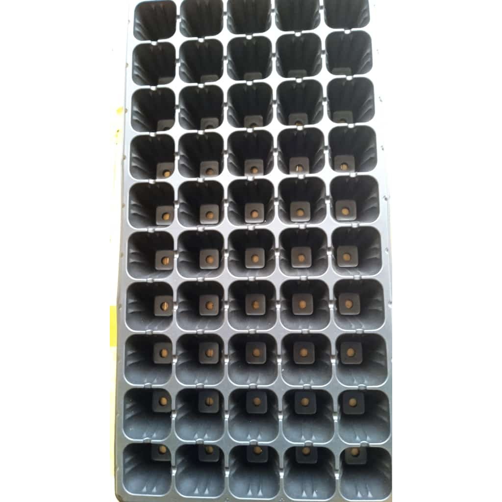 Tray Semai 50 Lubang Tebal