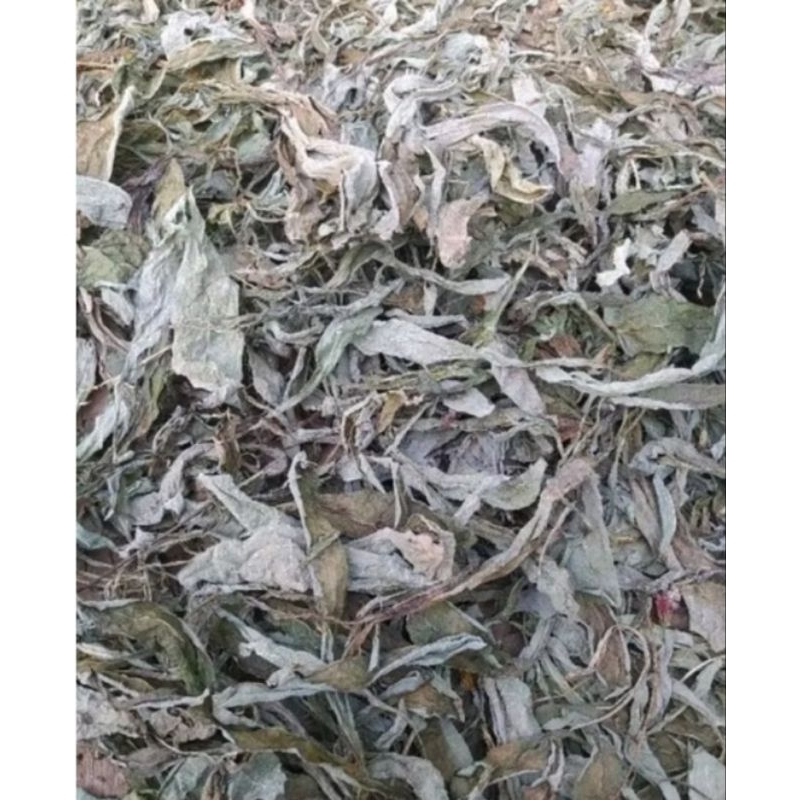 

daun tempuyung kering 500gram