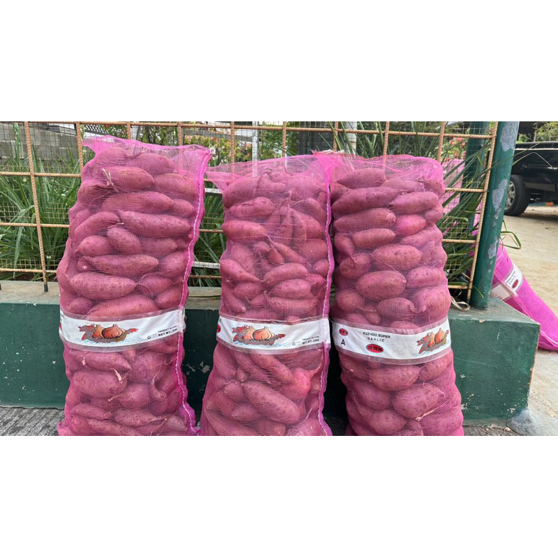 

UBI UNGU 12.000/kg