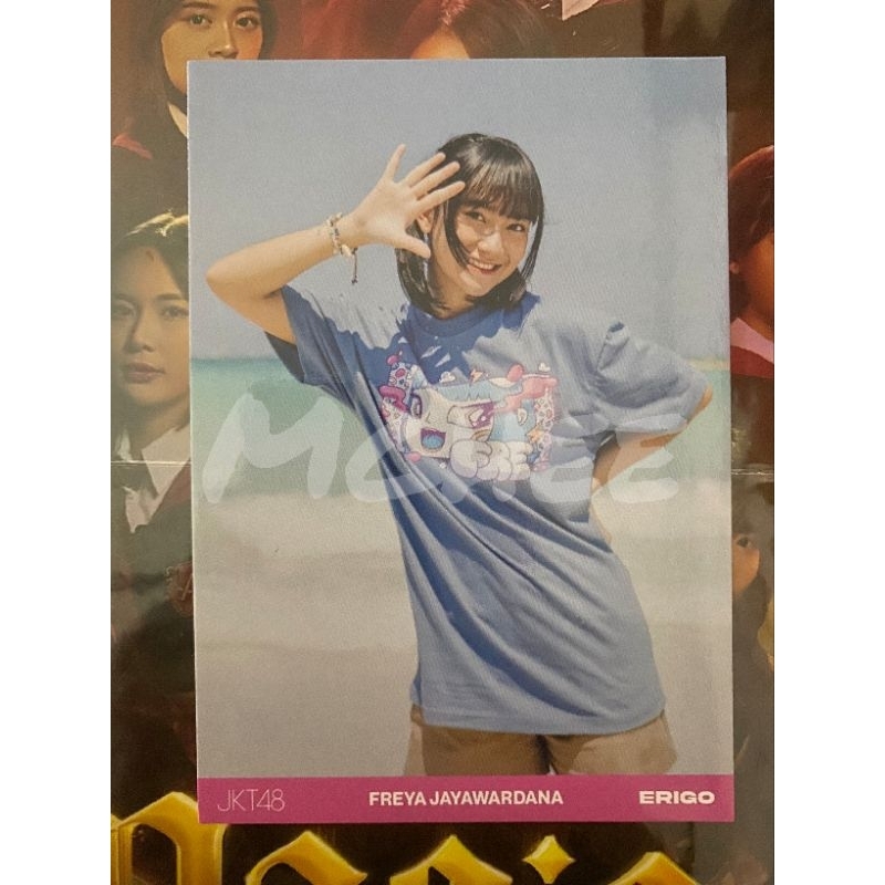 Photopack Erigo Freya JKT48