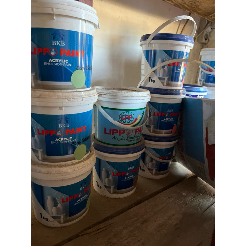 cat tembok 1 kg Lippo paint