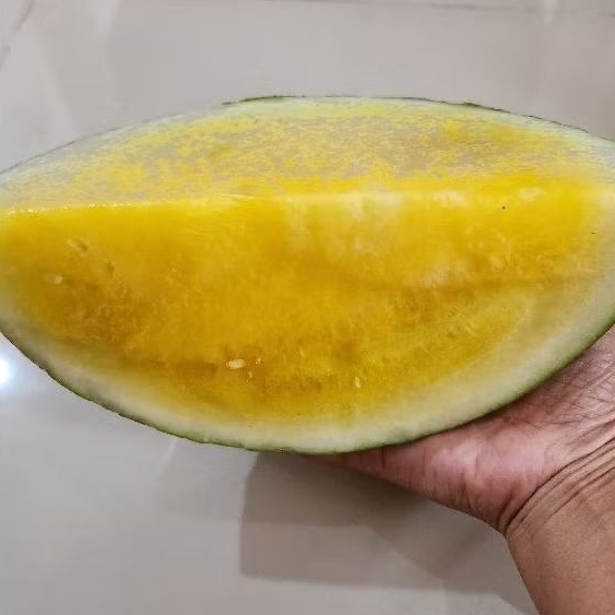 

SEMANGKA KUNING 500 GRAM