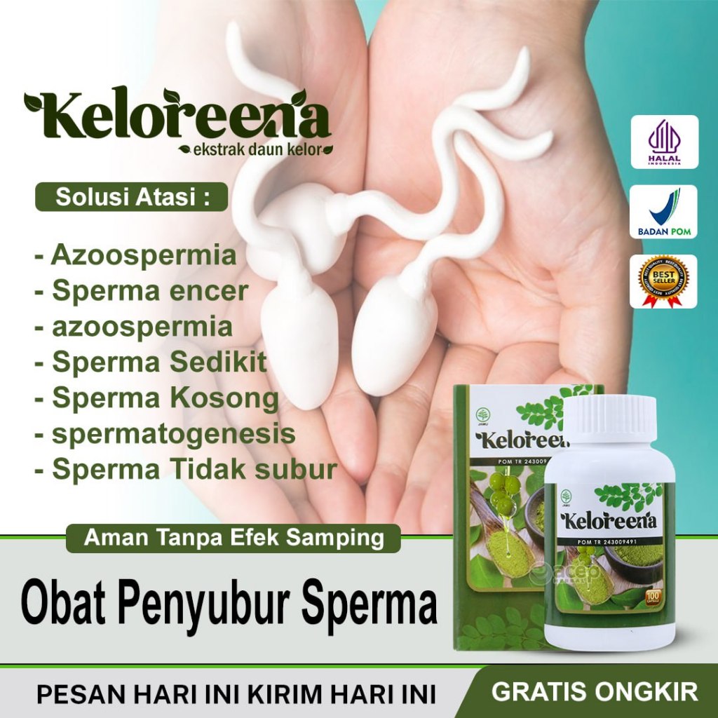 Obat Penyubur Sperma Pria Spermatorrhea Azoospermia Sperma Kosong Sperma Encer Tidak Subur PALING AM