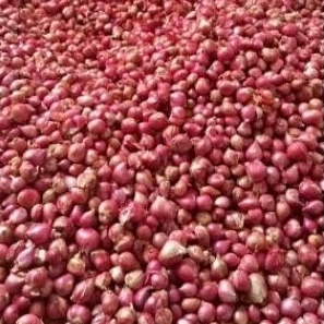 

PROMO BAWANG MERAH LOKAL 1KG [KODE A]