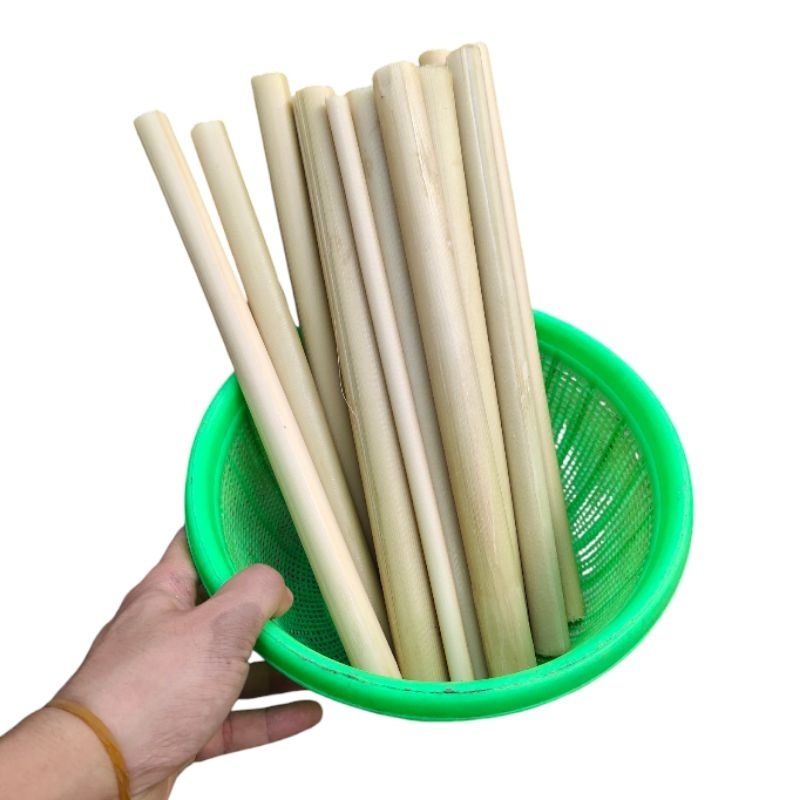 

Batang kecombrang/honje kupas segar kemasan 2 kg