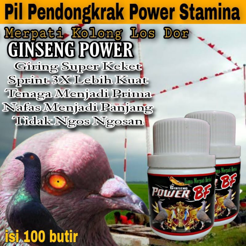 Jamu Merpati Tinggi Power BF Ginseng Teki isi 100 pil Giring Keras Kolong Dan balap pil edan rjb ext