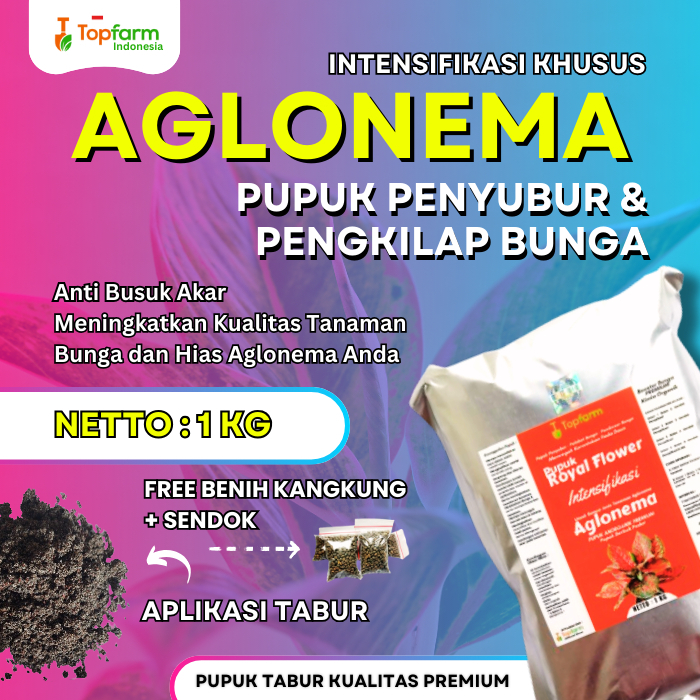 Pupuk Aglonema Cepat Beranak / Pupuk Pengkilap Aglonema / Pupuk Tanaman Bunga Aglonema Terbaik