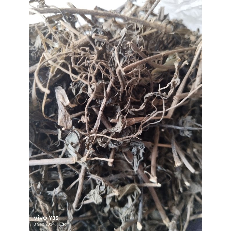 

Kumis kucing Kering 100gr