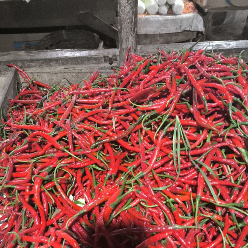 

Cabai merah keriting 1 kg