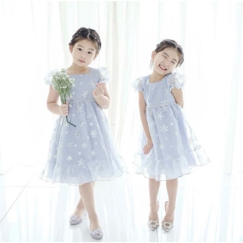 Dress Elsa Balloon Party