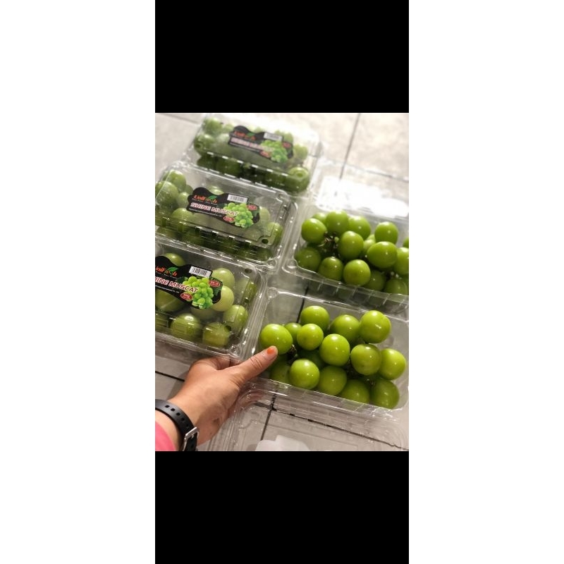 

Shine Muscat Pack 500gr