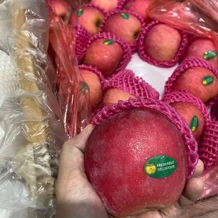 Apel Fuji Fresh Per Dus