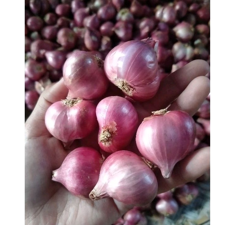 

Bawang Merah super berat 1kg//bumbu dapur