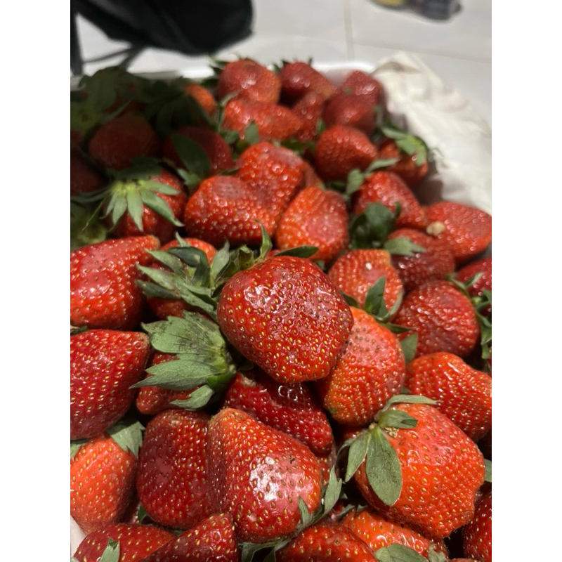 

STRAWBERRY JUMBO CIWIDEY BANDUNG SEGER FRESH ENAK NYOYY