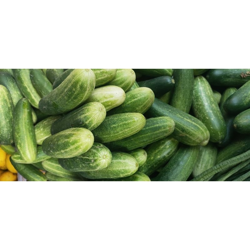 

timun 500g