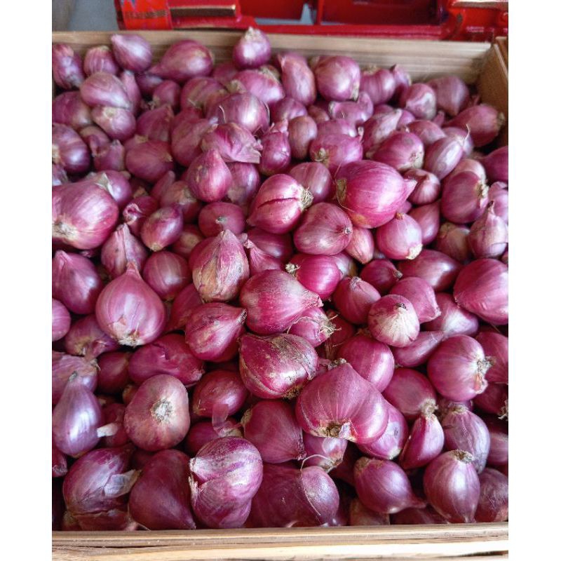 

[Instan] Bawang Merah/ 100g-250g-500g-1Kg