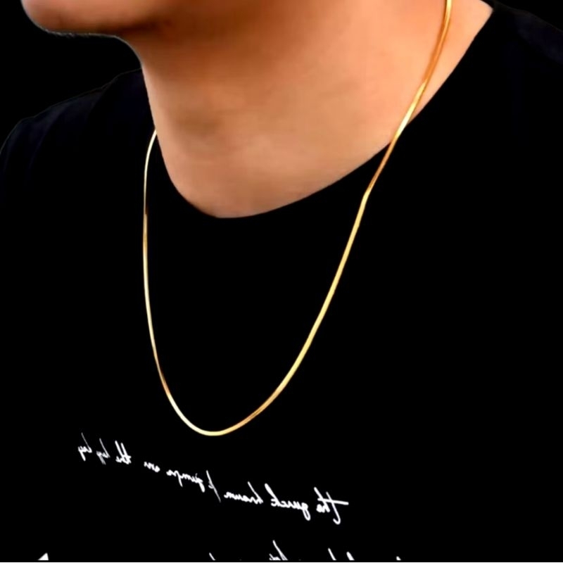 KALUNG TITANIUM  pria wanita gold silver panjang 45cm 50cm 60cm original anti karat