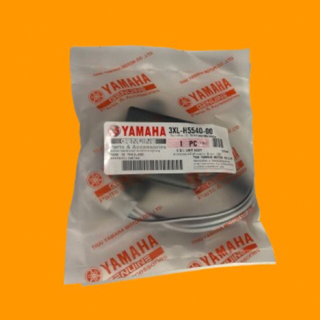 cdi rxz oem - cdi rxz catalyzer