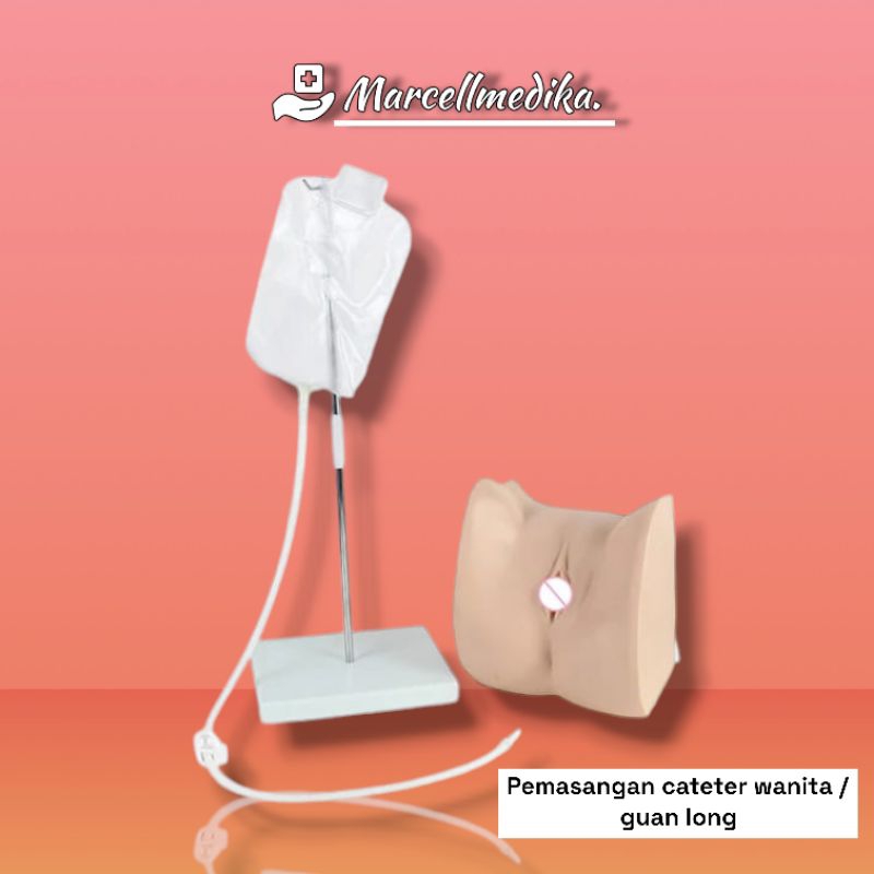 PHANTOM MANEKIN PEMASANGAN CATETER WANITA GUAN LONG / MANIKIN PEMASANGAN CATETER