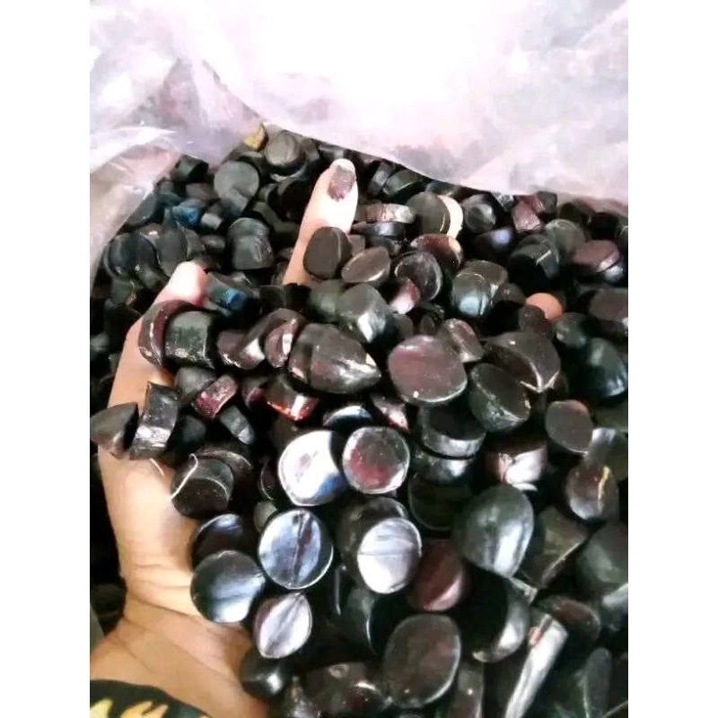 

NOB jolang jaling, kabau, kuwau. berat 250g