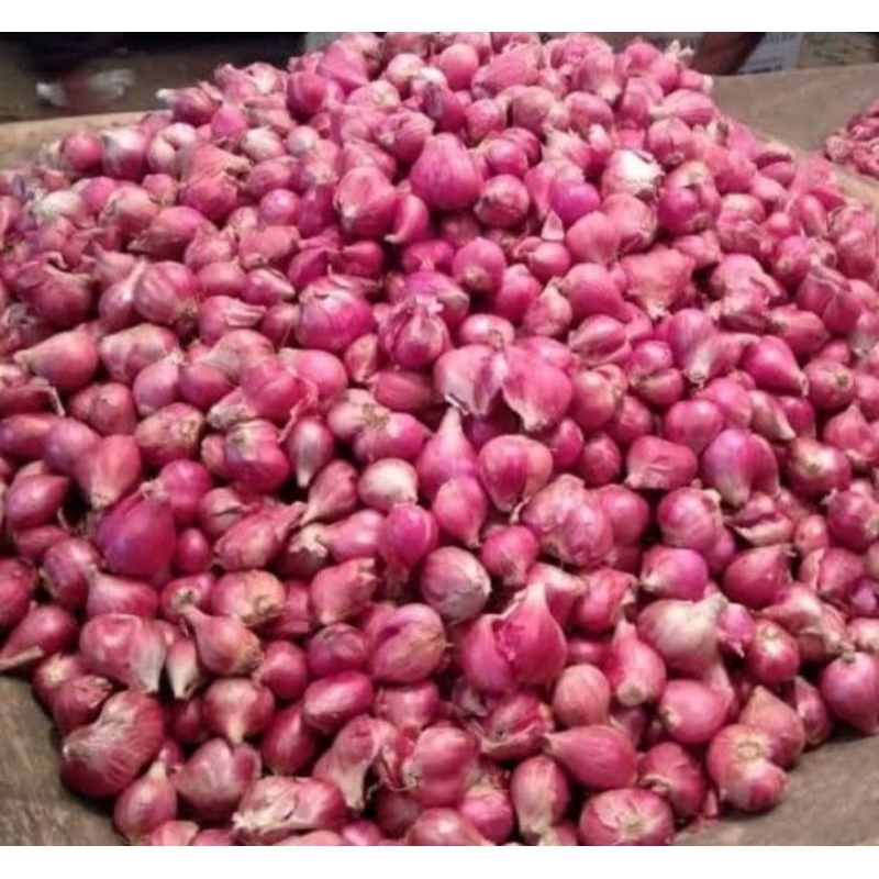 

Bawang Merah Brebes Segar 250gram 500gram