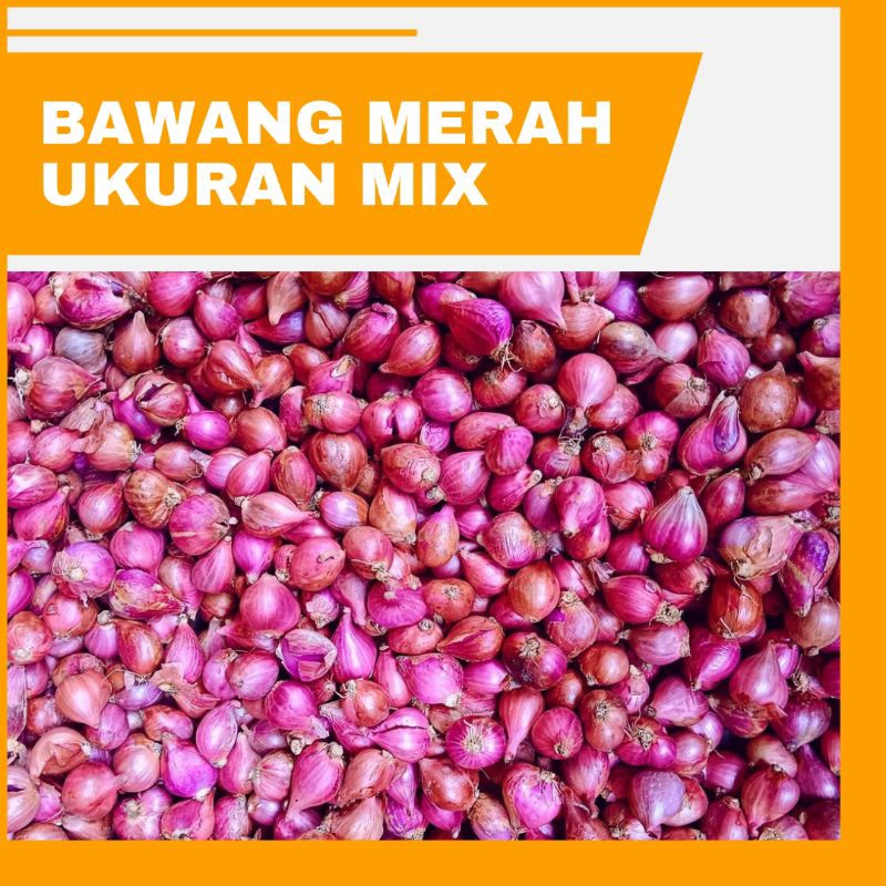 

BAWANG MERAH MURAH NGANJUK bumbu dapur