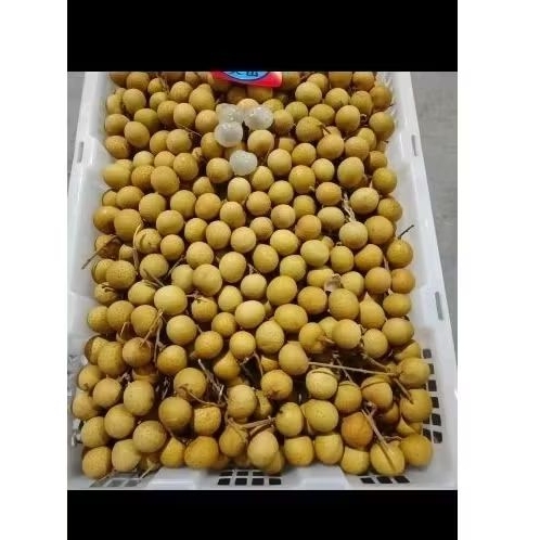 

Kelengkeng Bangkok|Label Merah|500grm