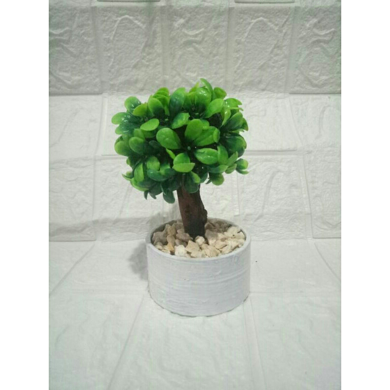 BONSAI INUL ARTIFICIAL//BONSAI MINI+POT