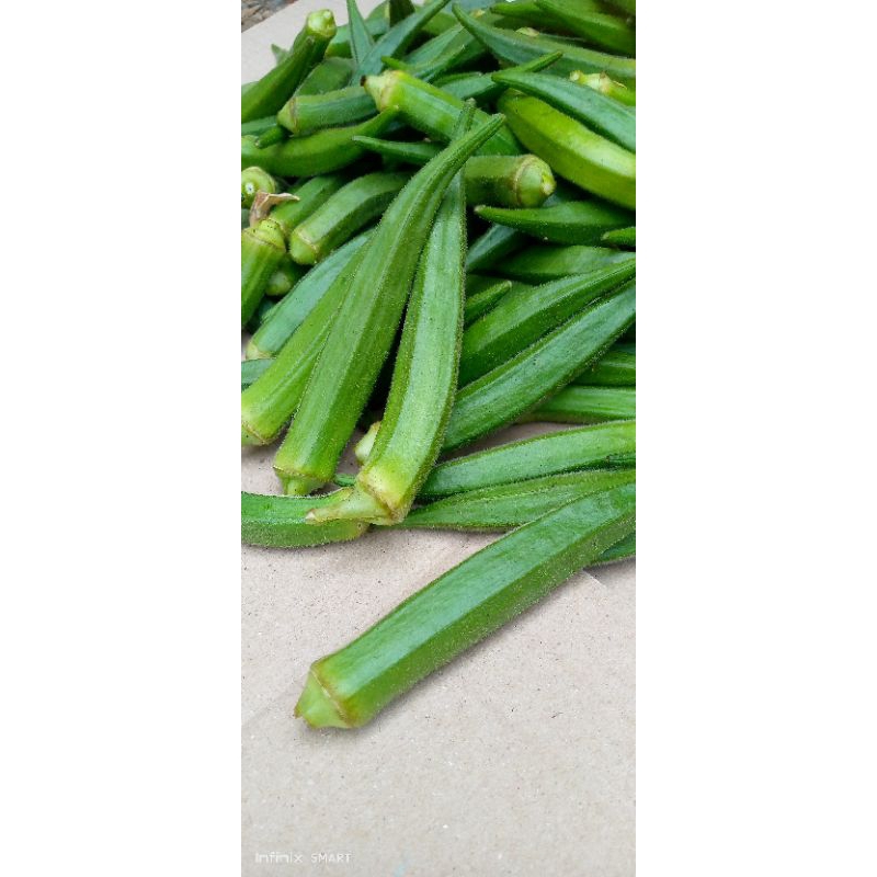 

sayur okra,okra fress,okra sega 400gram