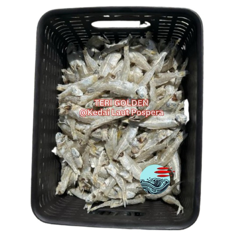 

Ikan Teri Golden