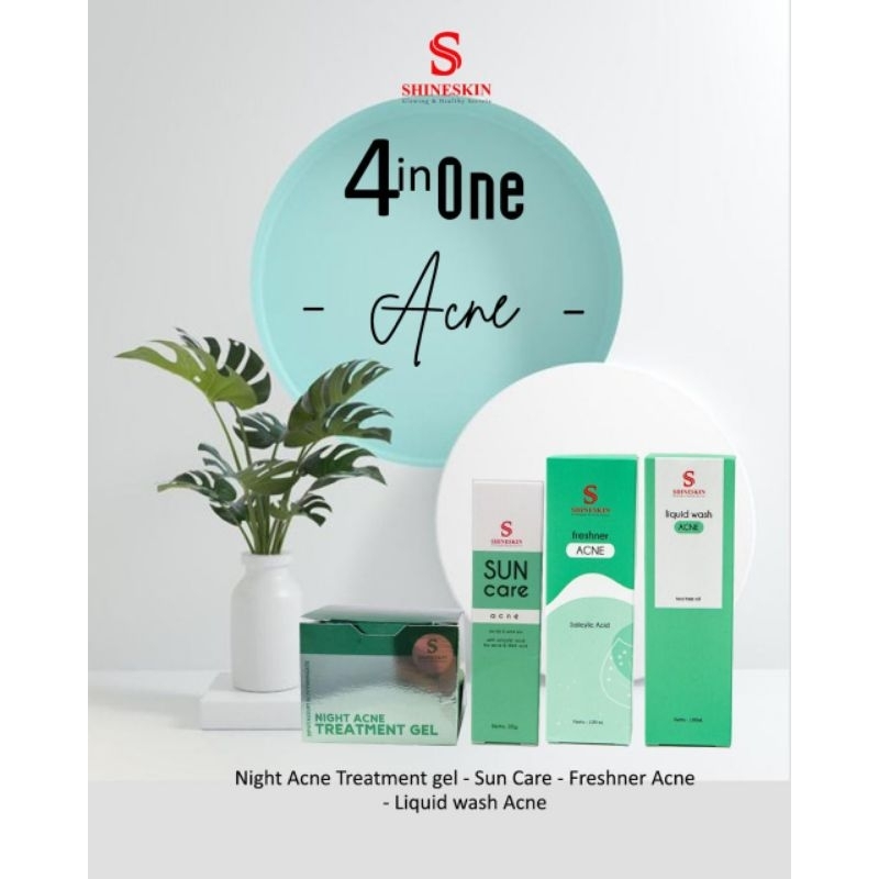 Shineskin - 4pcs Paket-Skincare Set Acne | Suncare Acne | Night Acne Treatment Gel | Wash Acne | Fre