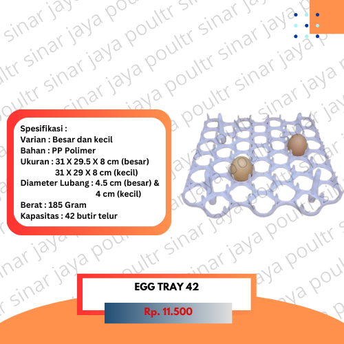 Egg tray 42 besar bebek ayam kampung / kecil putih / eg trey / penyimpanan telur / tempat taro telor