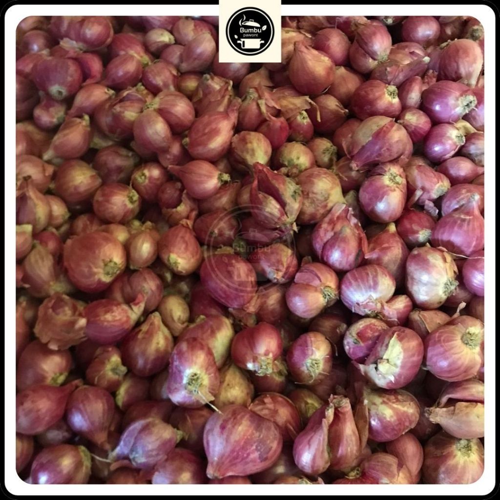 

Bawang Merah 500 Gram Ukuran Rata Besar Kering Fresh
