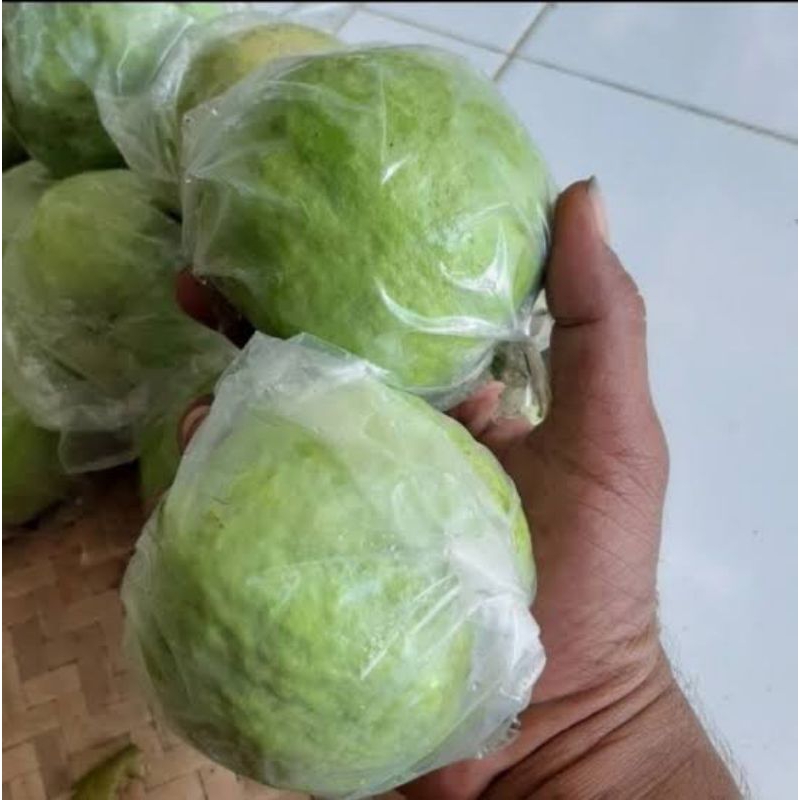 

Buah Jambu kristal Super dan manis Tanpa Biji