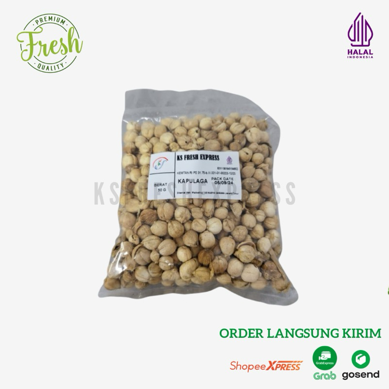 

KSfreshexpress Kapulaga Utuh / White Cardamom 100gr 250gr 500gr Organik Fresh Bersih Pilihan Rempah Bumbu Kualitas Terbaik Premium Kirim Instant Bumbu Masak