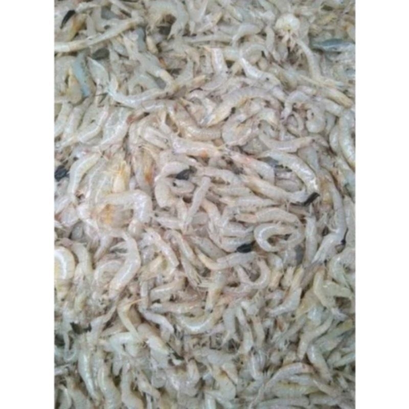 

udang kecil 500gram